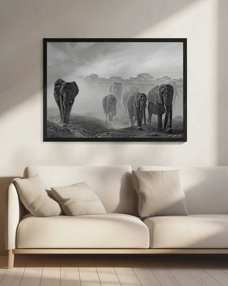 Elephants In Dust