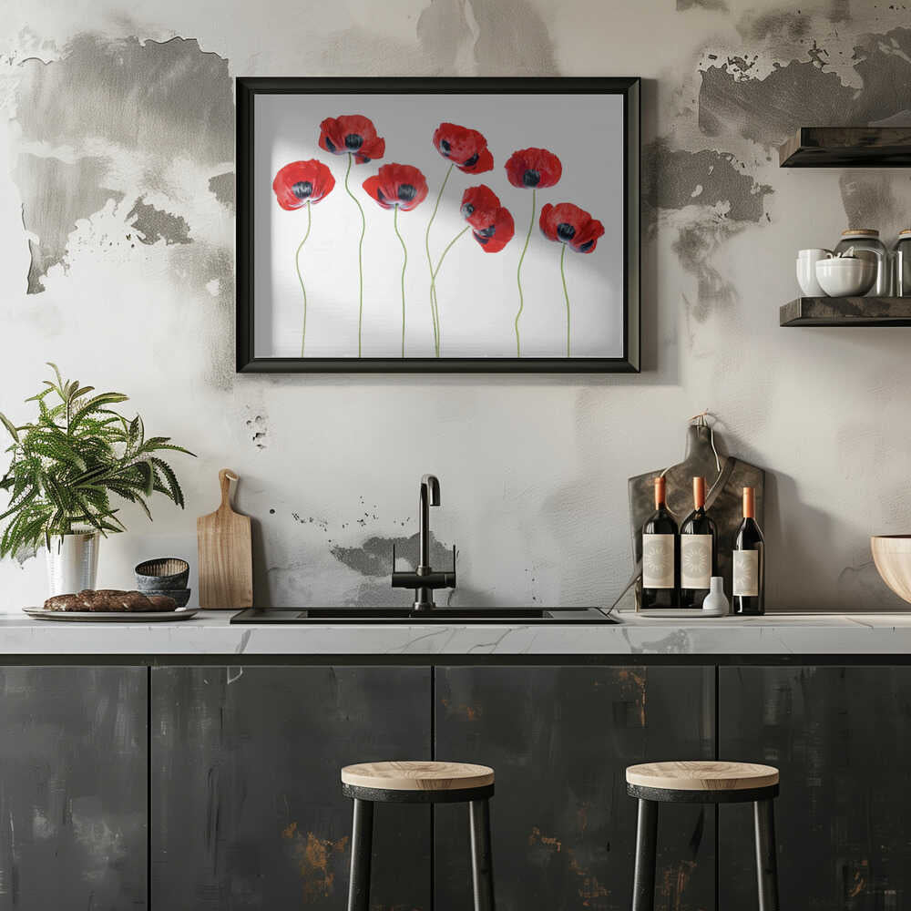 Ladybird Poppies