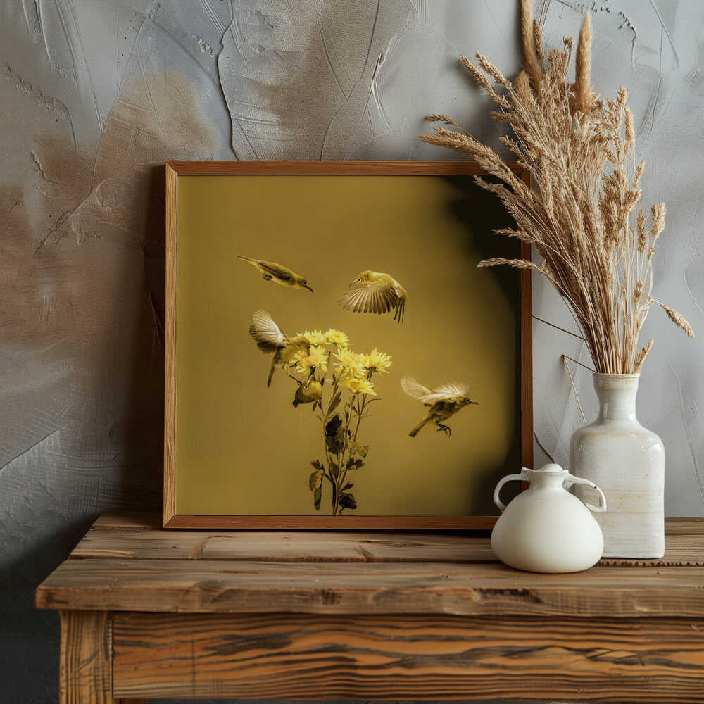 White-eyes Yellow Flower Dance