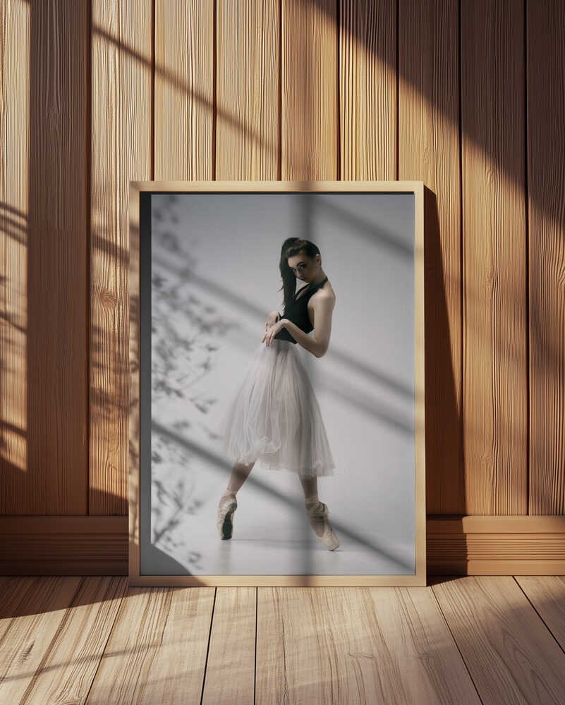 Elegant Ballerina Pose