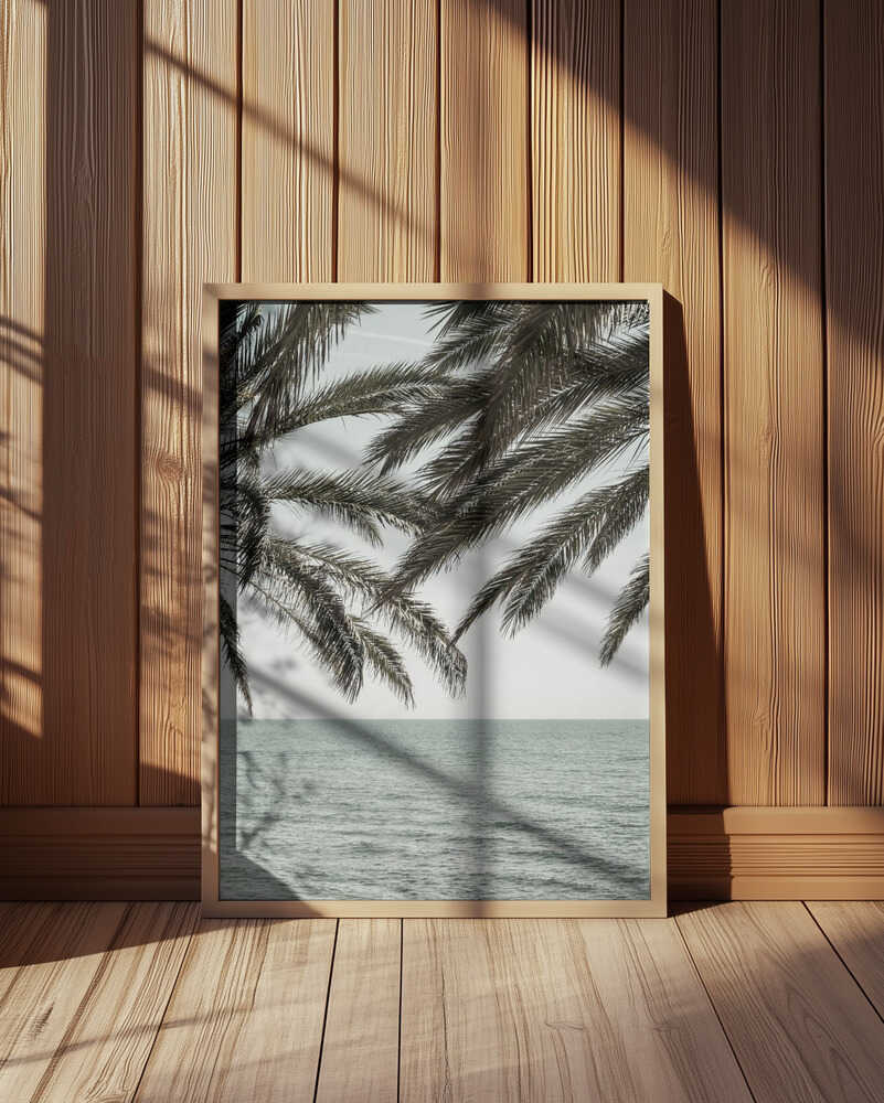 Tropical Ocean Palms