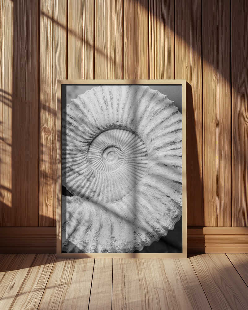 Spiral