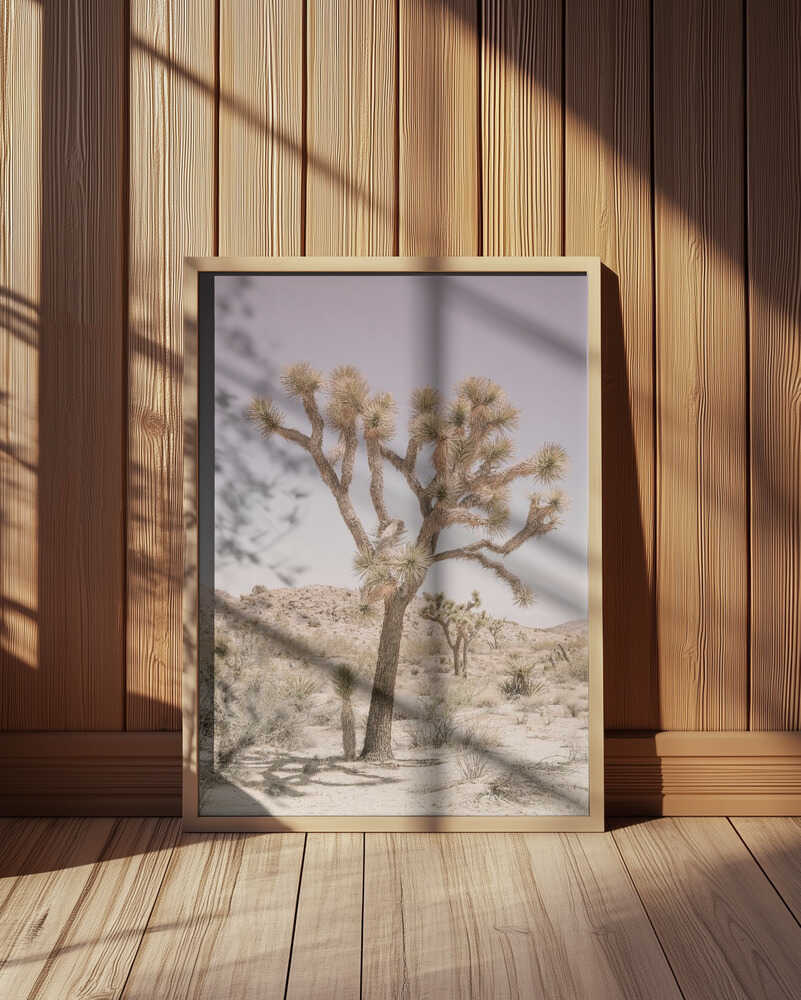 Desert Serenity