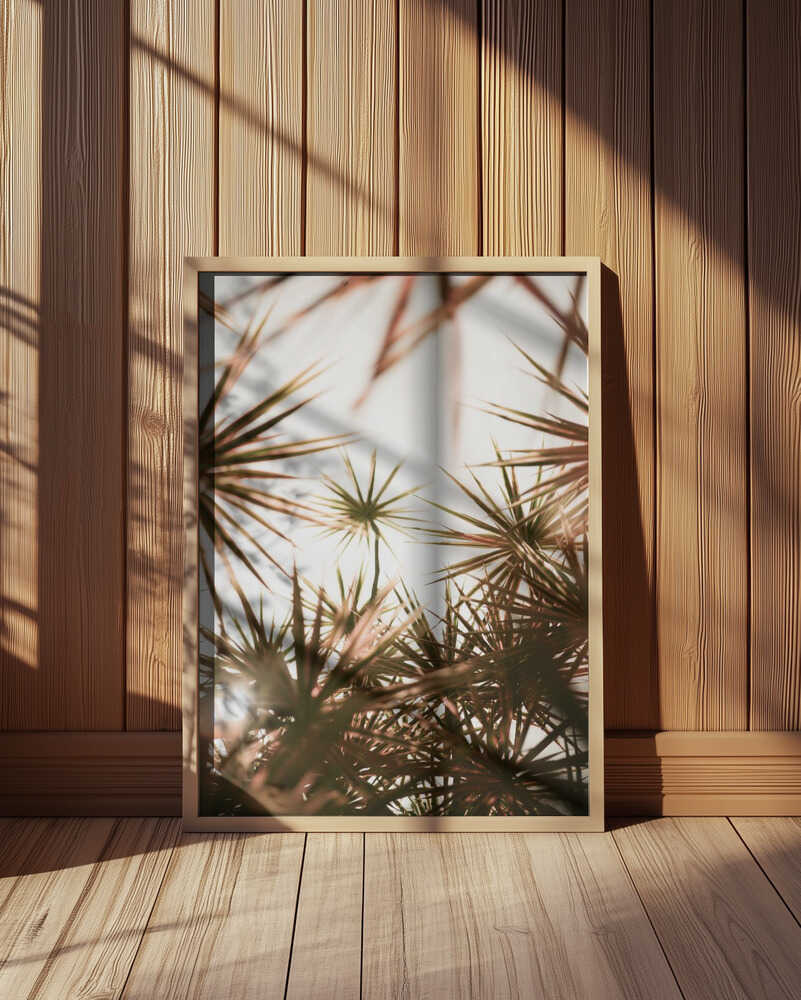 Abstract Beauty Of Spiky Plant