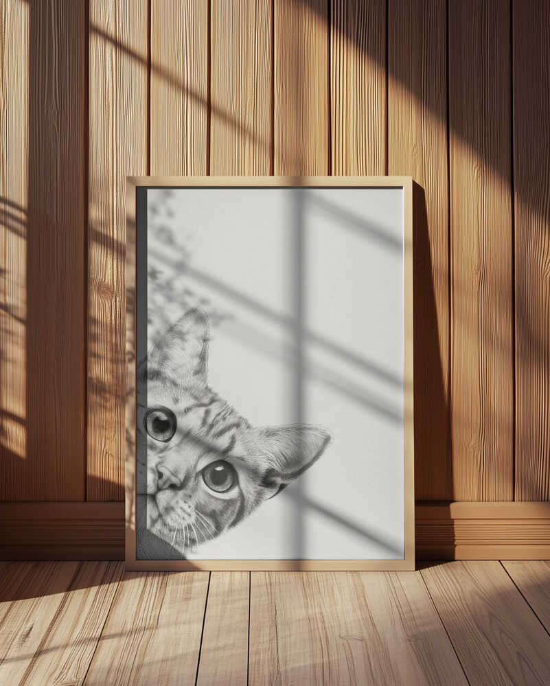 Nyfiken katt