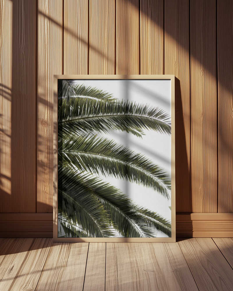 Tropical Green Palms