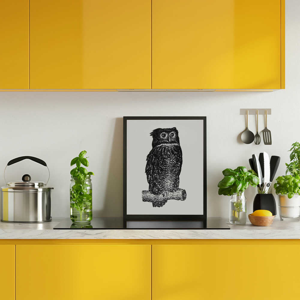 Owl