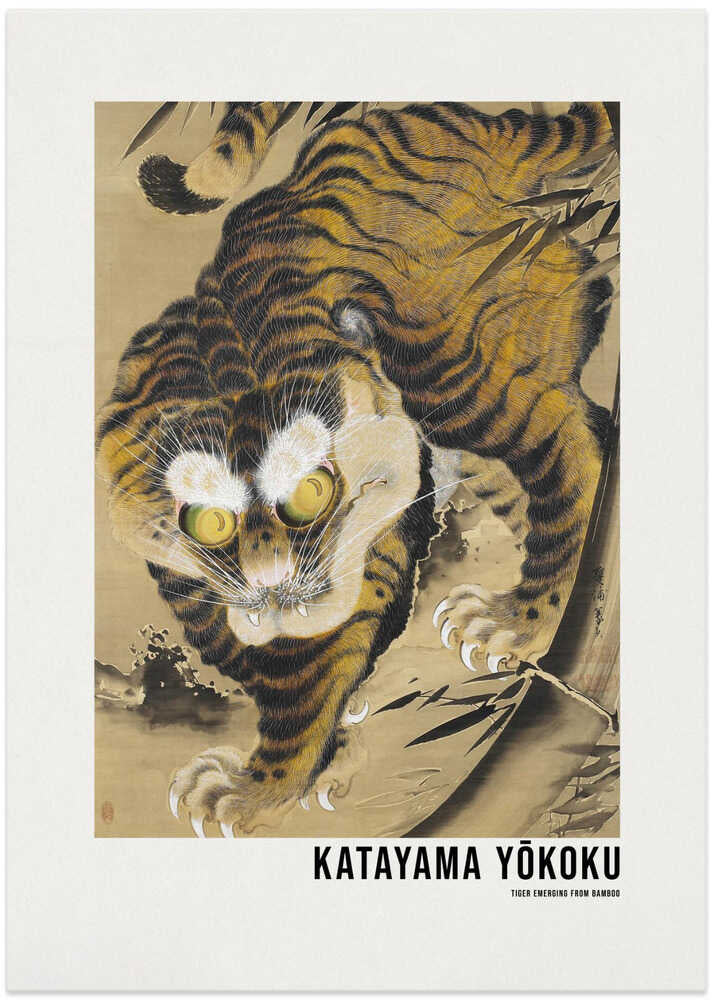 Tiger Emerging From Bamboo
