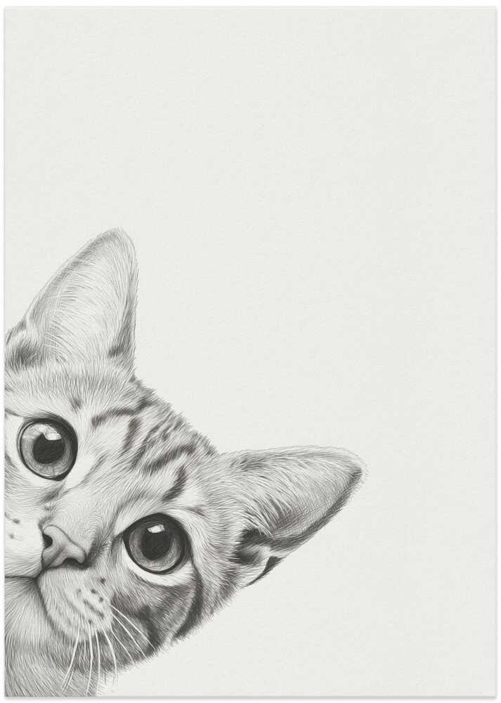 Nyfiken katt