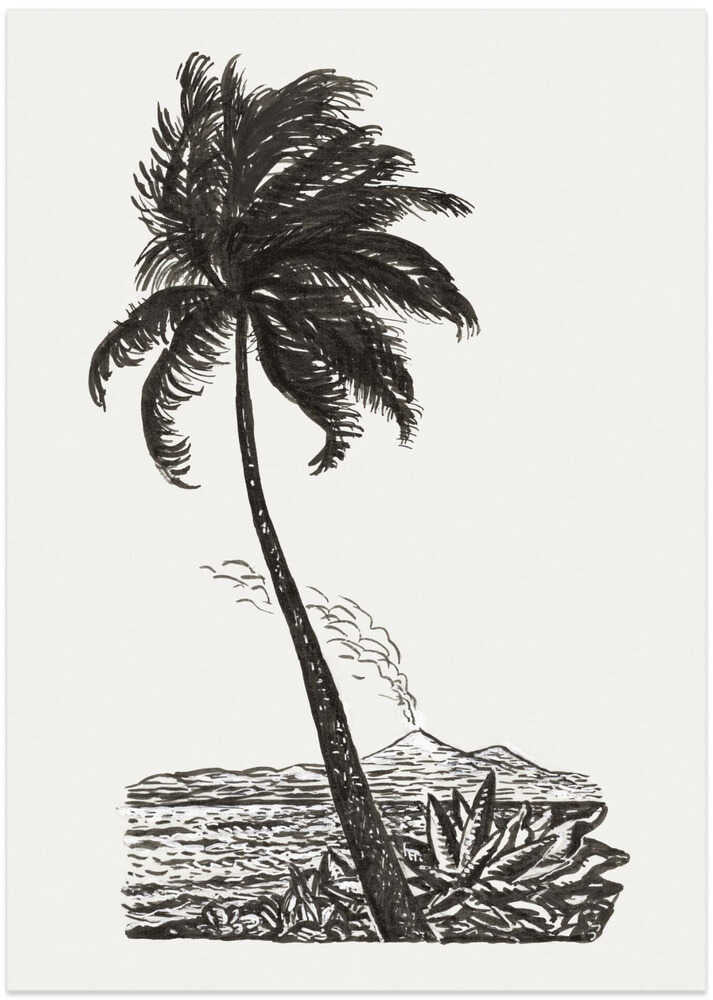 Palm Tree With an Island (ca. 1891–1941)