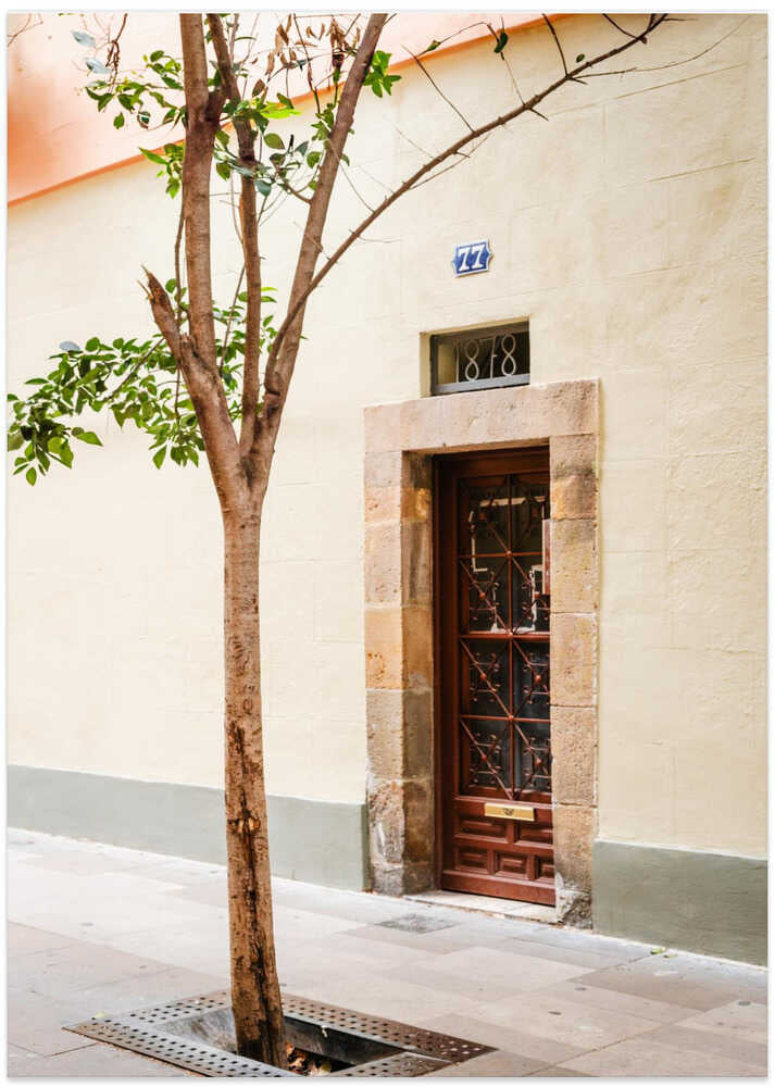 Rustic Doorway Tree