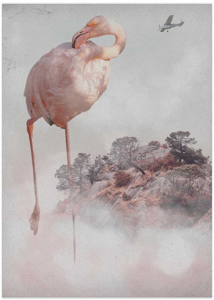 Floating Flamingo Island