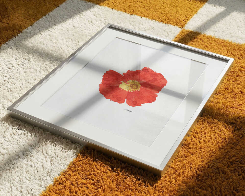 Single Red Poppy