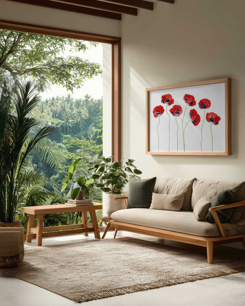 Ladybird Poppies