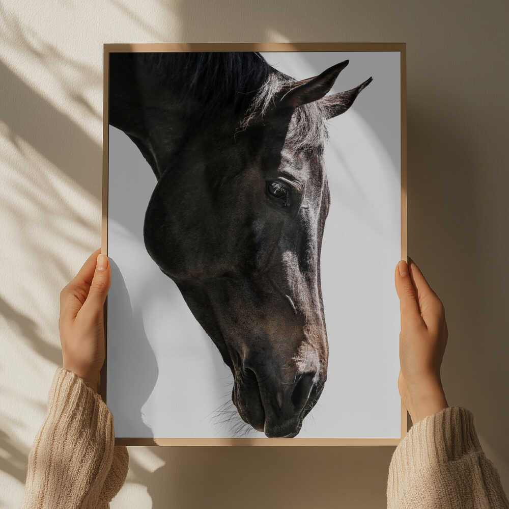Gentle Equine Gaze