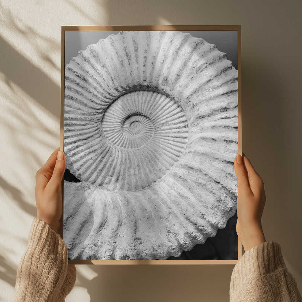 Spiral