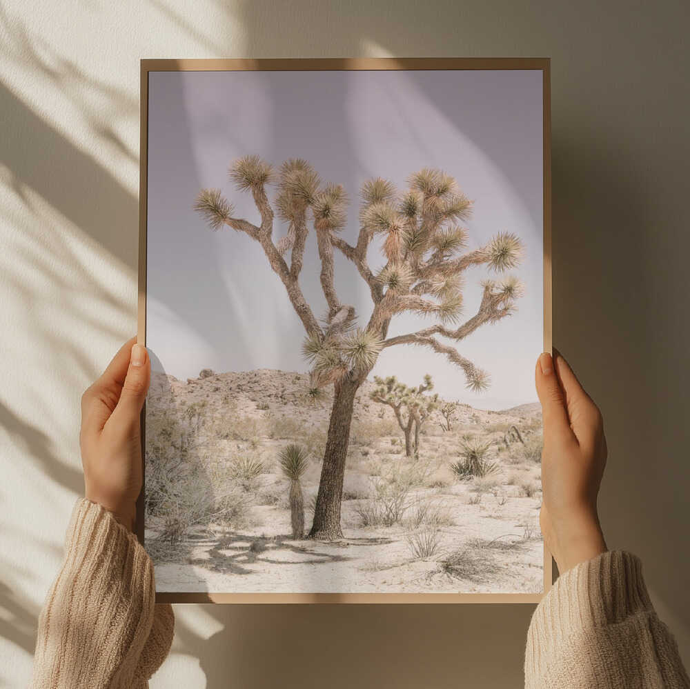 Desert Serenity