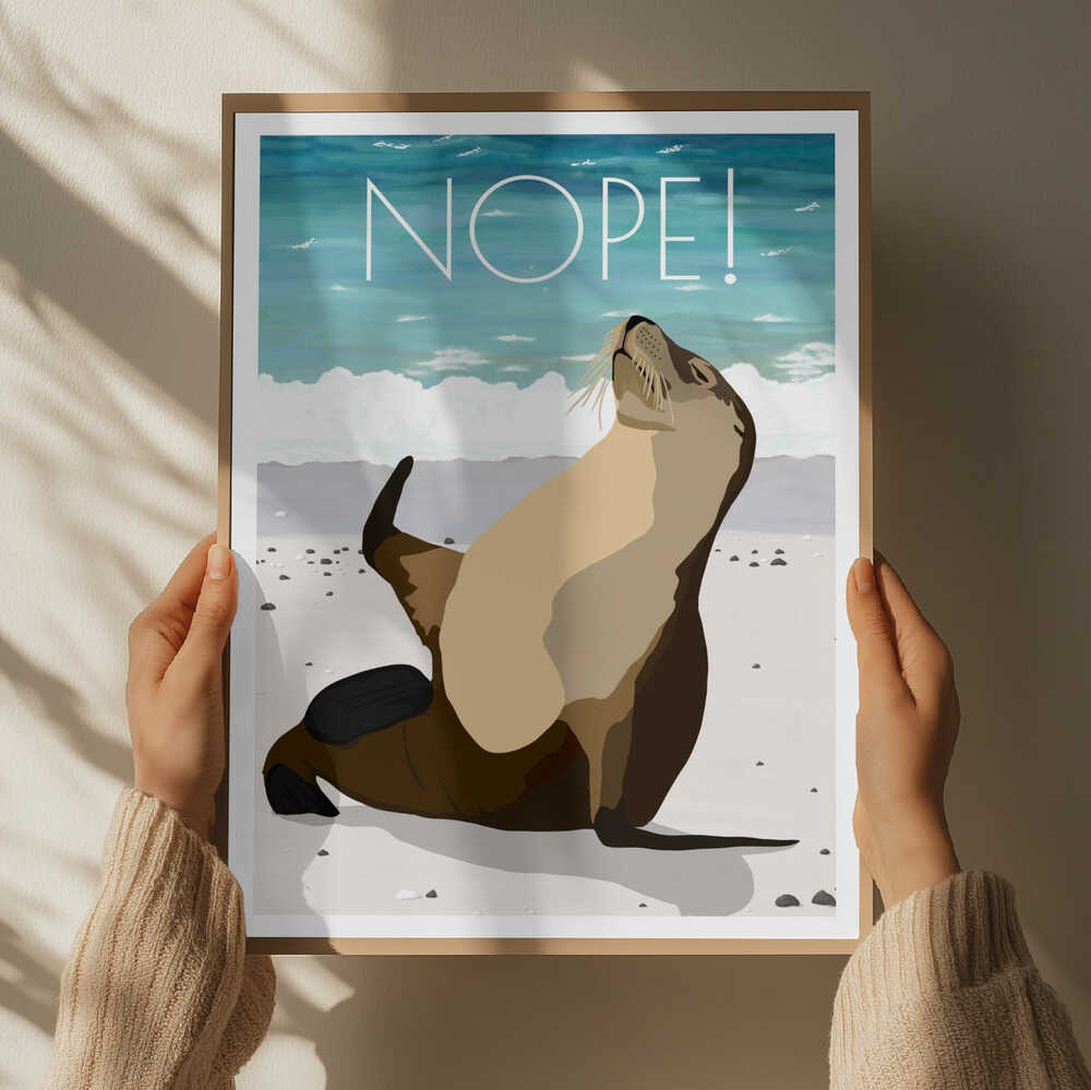 Nope! Beach Sea Lion