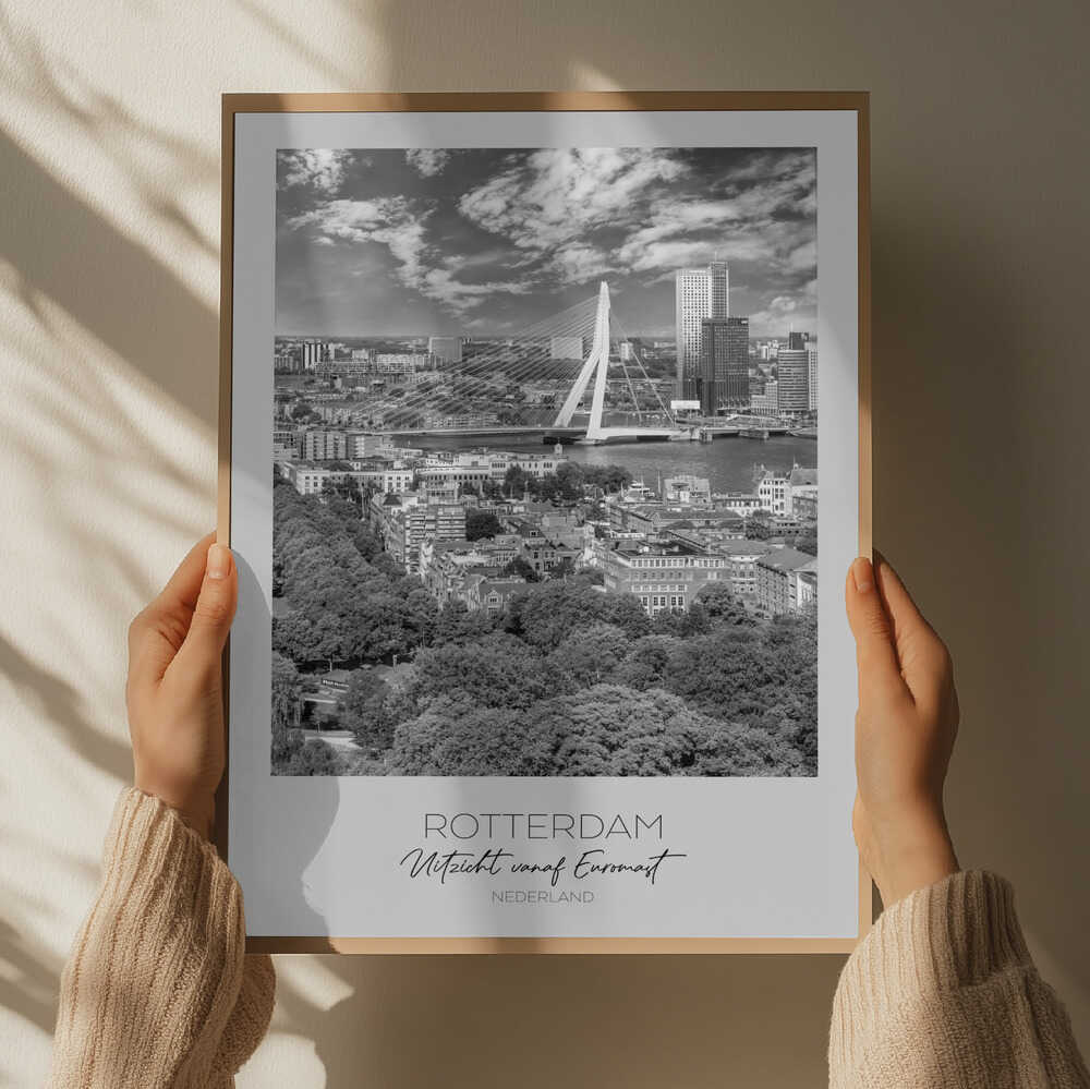 Rotterdam Skyline View
