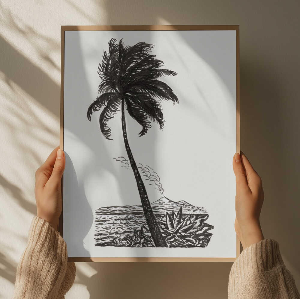 Palm Tree With an Island (ca. 1891–1941)