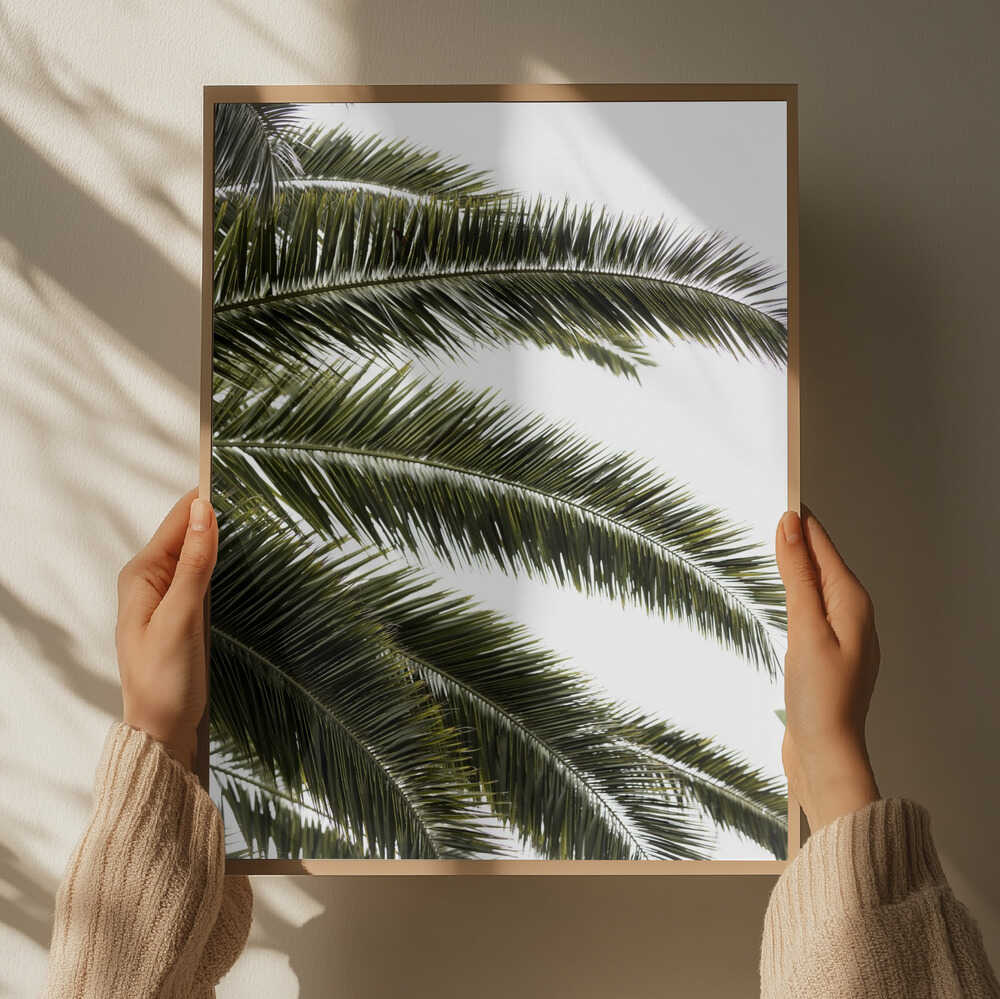 Tropical Green Palms