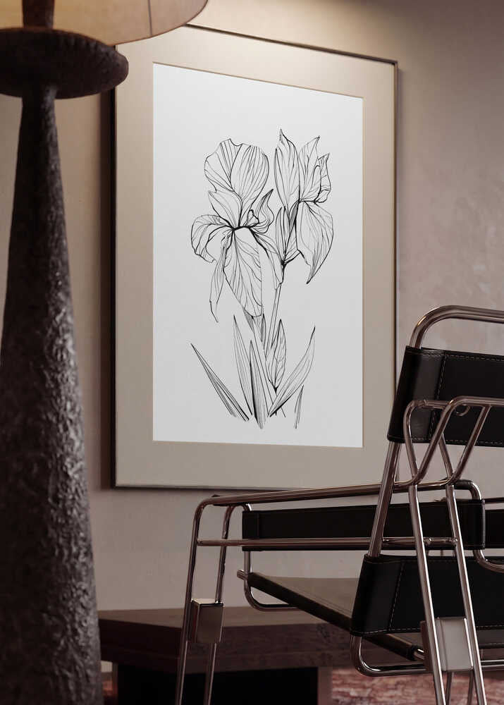 Irises