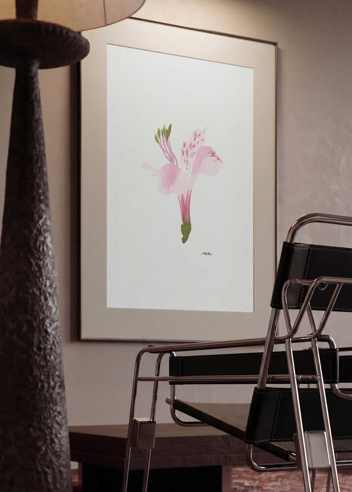 Soft Pink Alstroemeria
