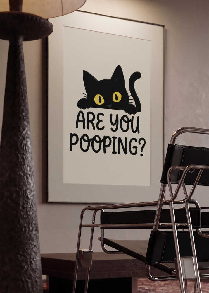 Funny Peeking Cat