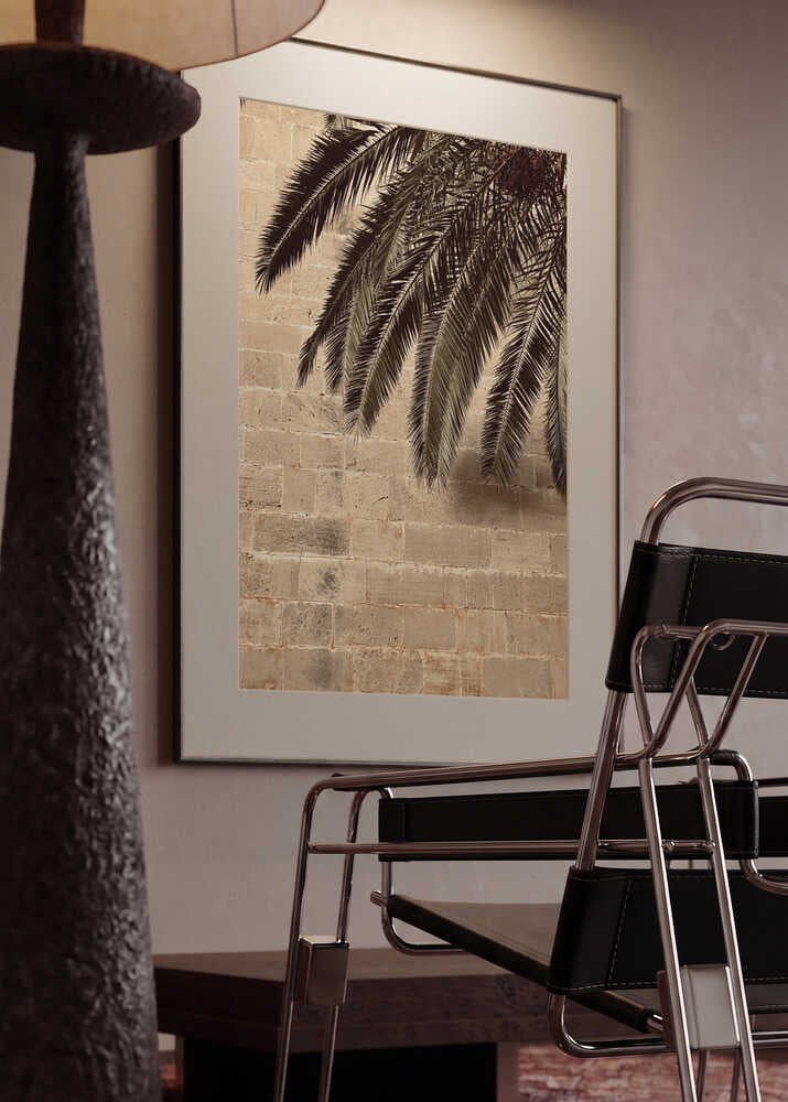 Palm Shadow on Stone