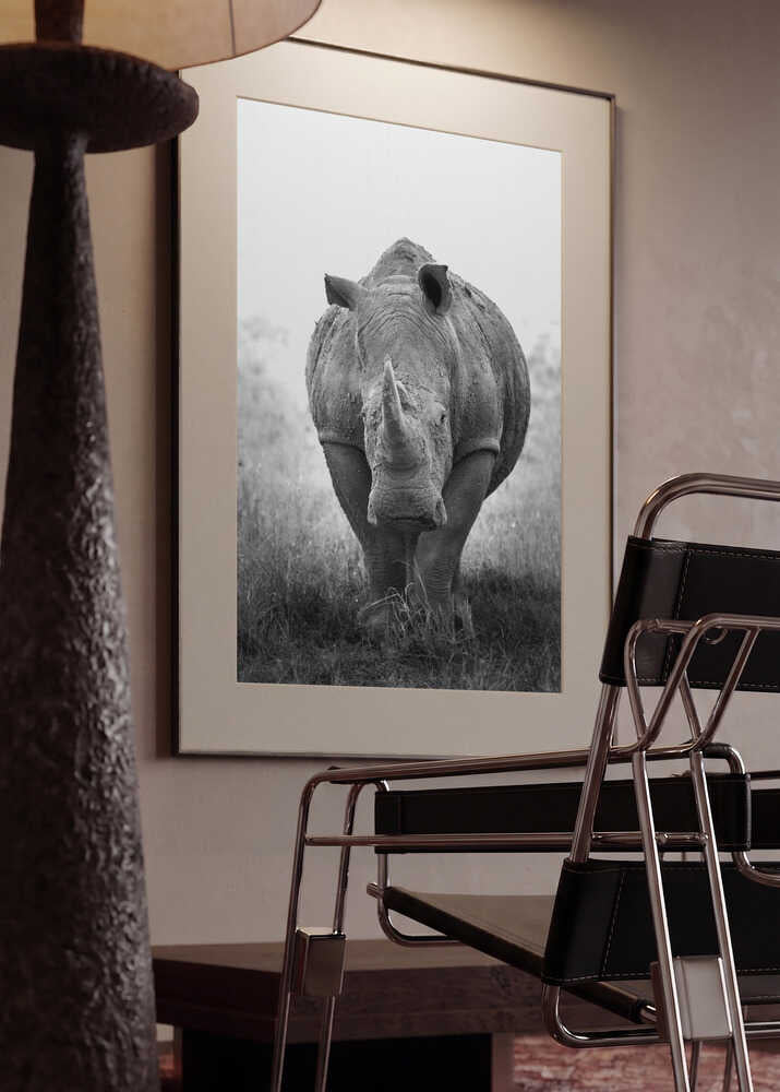 Powerful Rhino Portrait