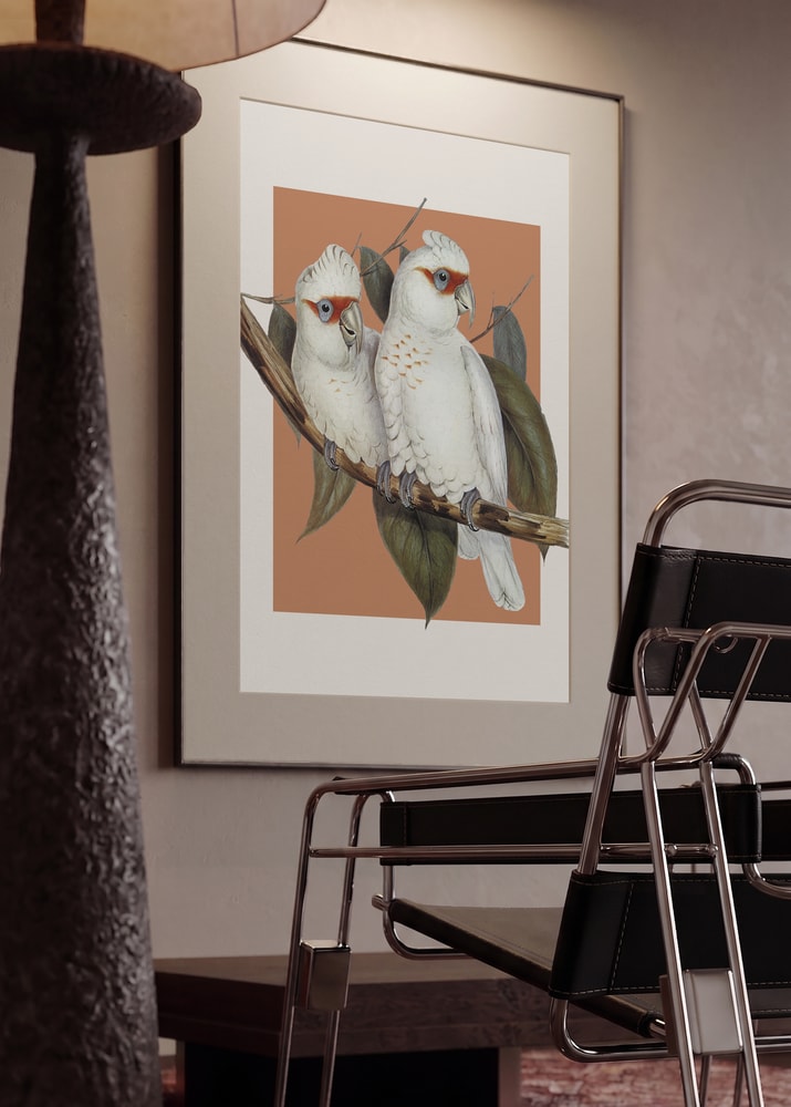 Two White Cockatoos