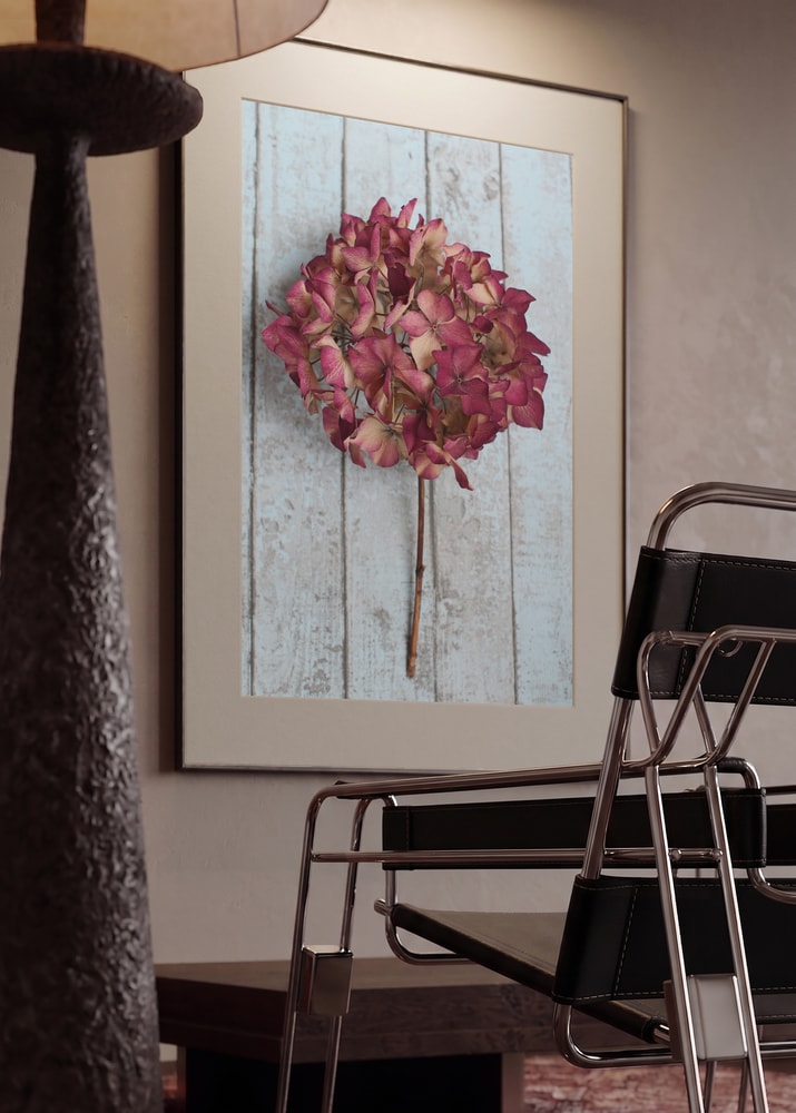 Rustic Dried Hydrangea