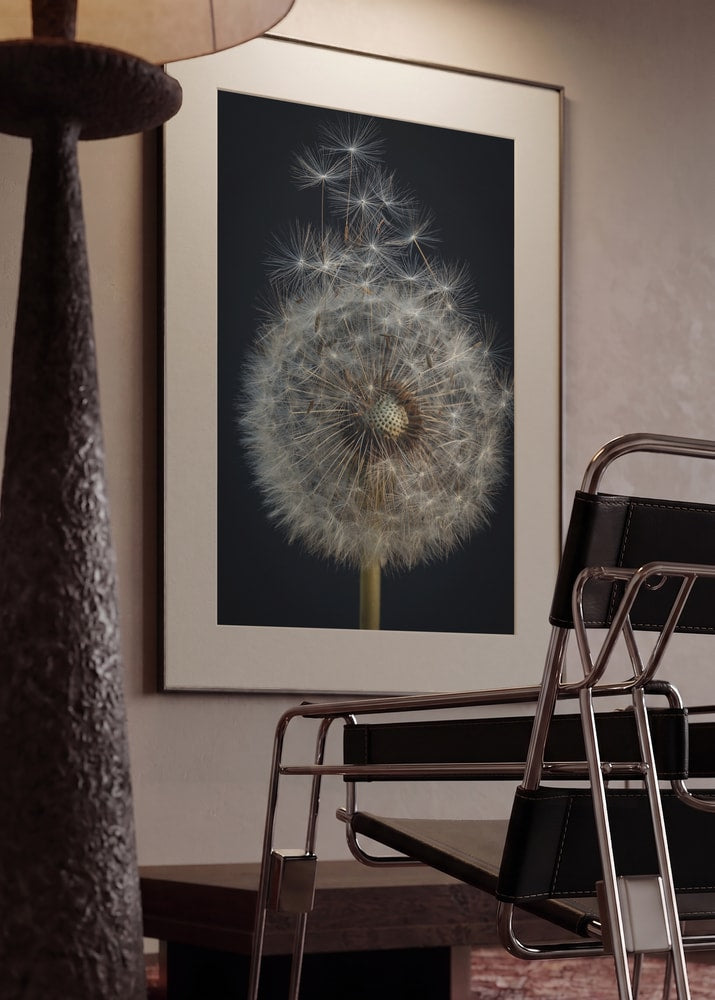 Dandelion Seed Head