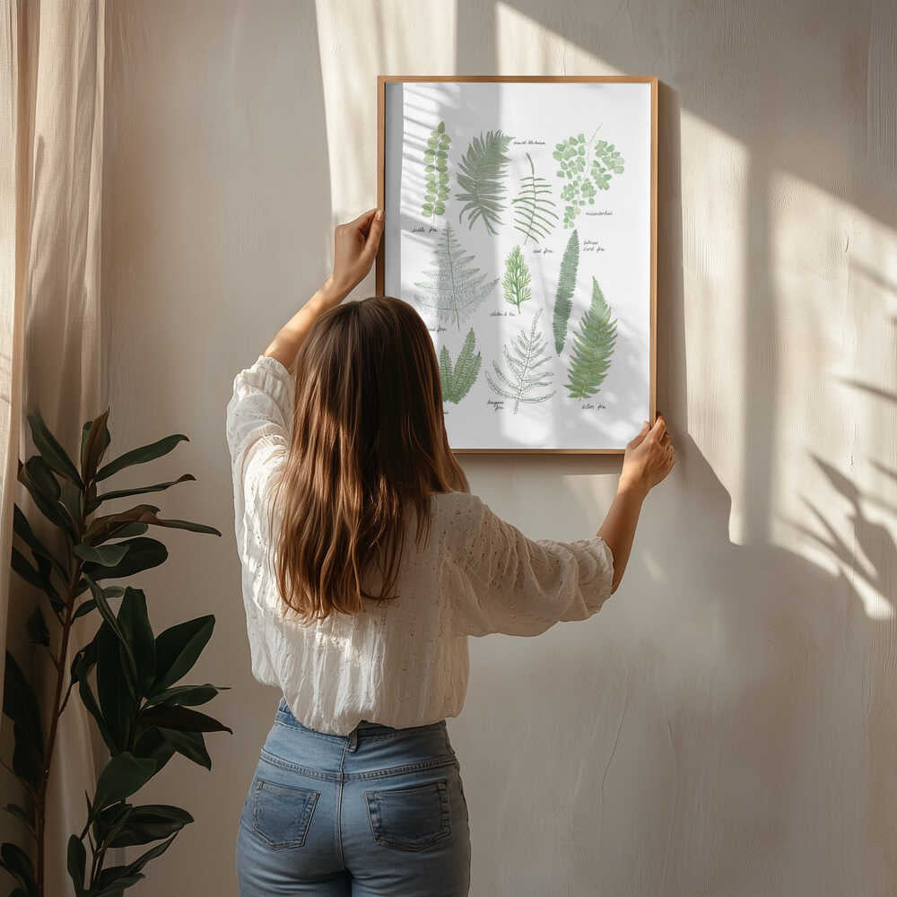 Illustrated Fern Varieties